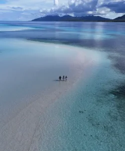 Starfish Sandbar